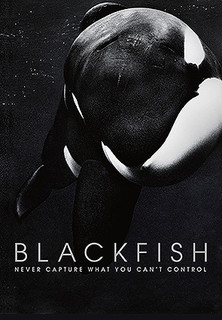 Filmplakat Blackfish