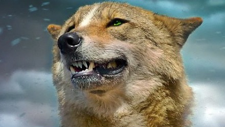 Szenenbild aus dem Film 'Der letzte Wolf'