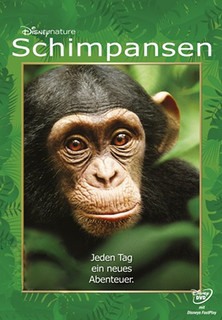 Filmplakat Schimpansen