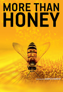 Filmplakat More than Honey