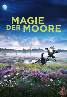 Filmplakat Magie der Moore