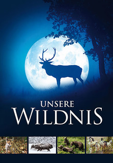 Filmplakat Unsere Wildnis