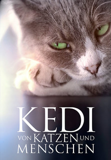 Filmplakat Kedi - Von Katzen und Menschen