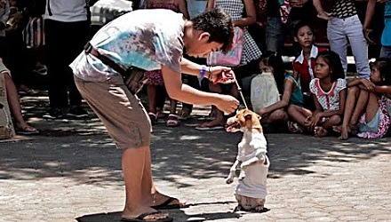 Szenenbild aus dem Film 'Da Dog Show'