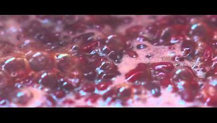 Szenenbild aus dem Film 'Kirschblüten und rote Bohnen'