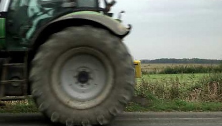 Szenenbild aus dem Film 'Von Bananenbäumen träumen'