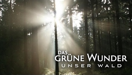 Szenenbild aus dem Film 'Das grüne Wunder - Unser Wald'