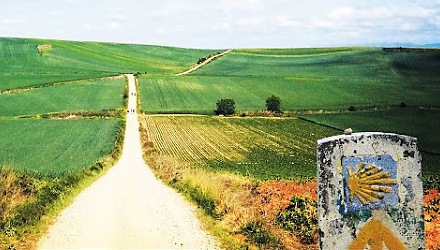 Szenenbild aus dem Film 'Camino de Santiago'