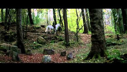 Szenenbild aus dem Film 'Die Legende der weißen Pferde'