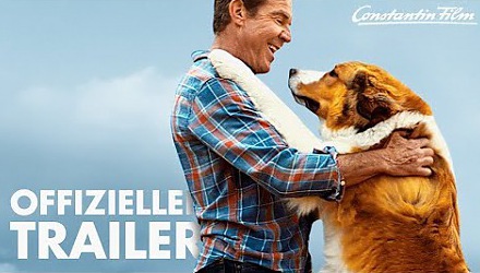 Szenenbild aus dem Film 'Bailey - Ein Hund kehrt zurück'