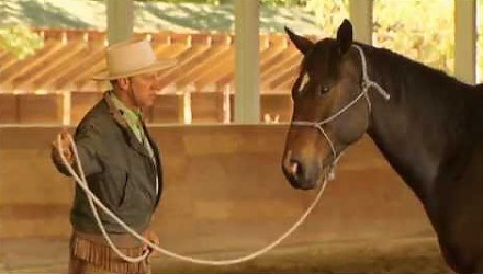 Szenenbild aus dem Film 'Buck - Der wahre Pferdeflüsterer'