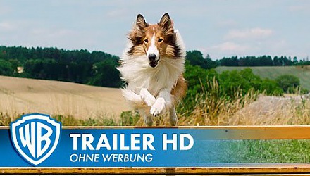 Szenenbild aus dem Film 'Lassie - Eine abenteuerliche Reise'