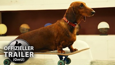 Szenenbild aus dem Film 'Wiener Dog'
