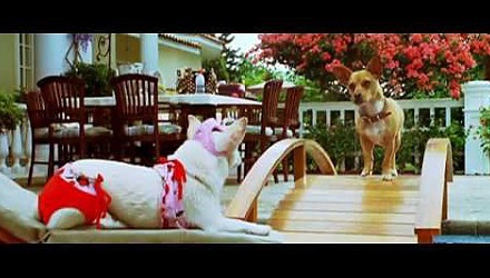 Szenenbild aus dem Film 'Beverly Hills Chihuahua'
