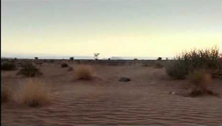 Szenenbild aus dem Film 'Allein die Wüste'