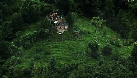 Szenenbild aus dem Film 'Müll im Garten Eden'