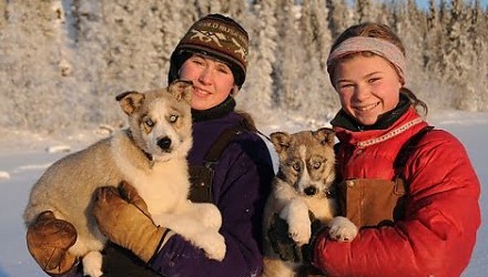 Szenenbild aus dem Film 'Die Familie mit den Schlittenhunden'