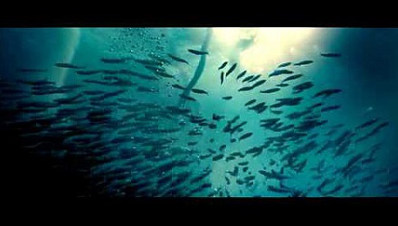 Szenenbild aus dem Film 'Unsere Ozeane'