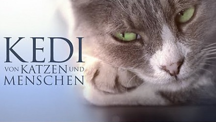Szenenbild aus dem Film 'Kedi - Von Katzen und Menschen'
