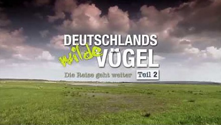Szenenbild aus dem Film 'Deutschlands wilde Vögel - Teil 2 - Die Reise geht weiter'
